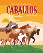 TODO LO QUE HAY QUE SABER SOBRE LOS CABALLOS, de LUCAS RIERA | portada del libro