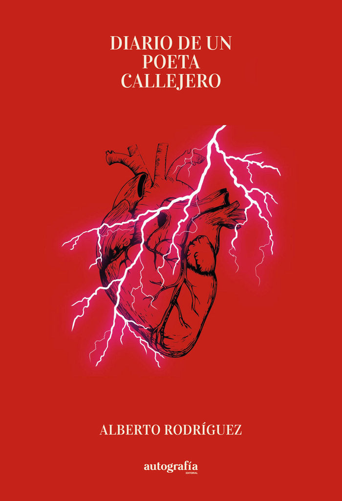 Diario de un poeta callejero, de Rodríguez, Alberto | portada del libro