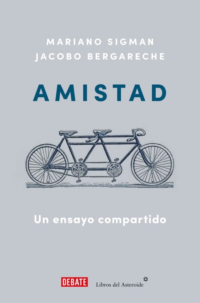 AMISTAD, de BERGARECHE, JACOBO | portada del libro