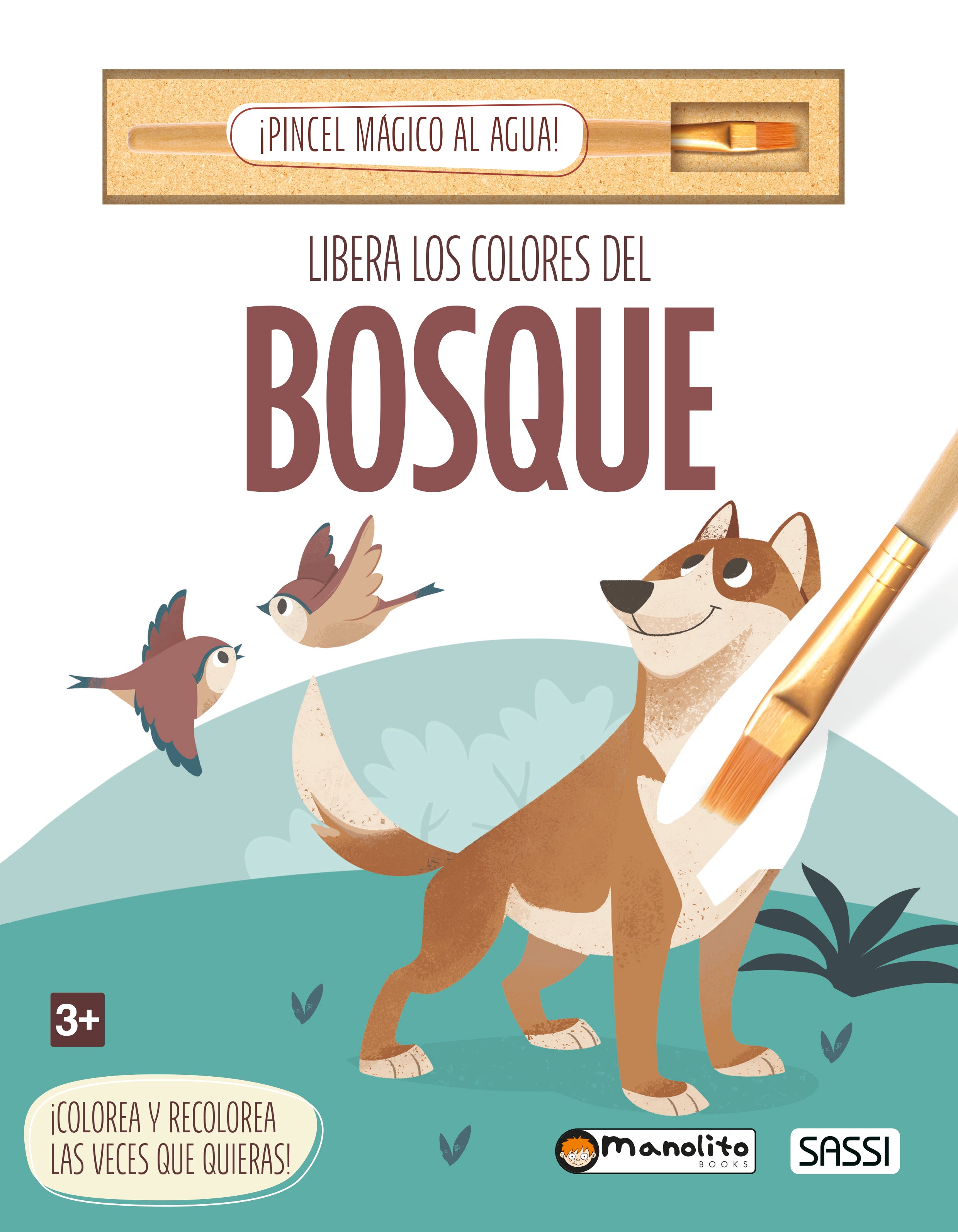 LIBERA LOS COLORES DEL BOSQUE, de TOAD CREATIVE STUDIOS | portada del libro