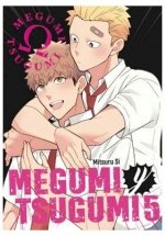 MEGUMI Y TSUGUMI 05, de SI, MITSURU | portada del libro