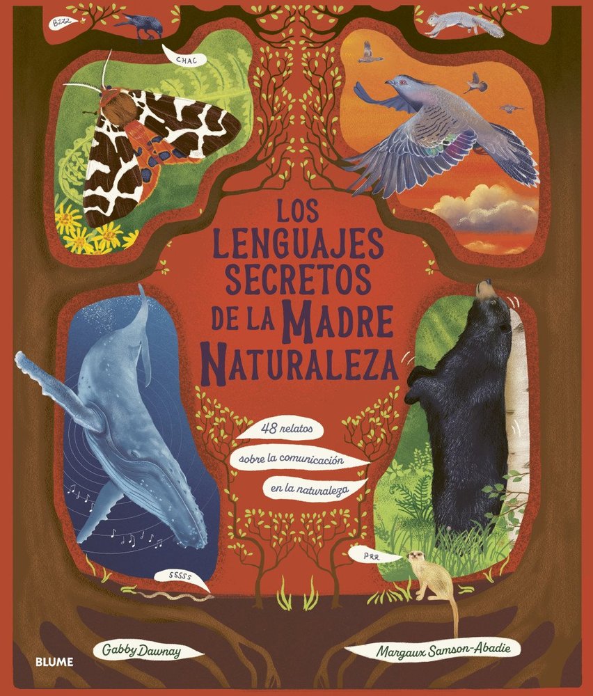 LENGUAJES SECRETOS DE LA MADRE NATURALEZA, LOS, de GABBY DAWNAY | portada del libro