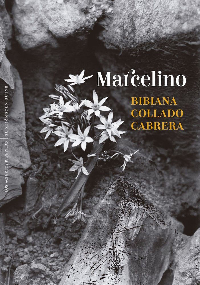 MARCELINO, de COLLADO CABRERA,BIBIANA | portada del libro