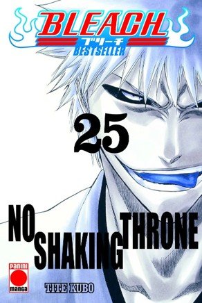 BLEACH BESTSELLER 25, de KUBO, TITE | portada del libro