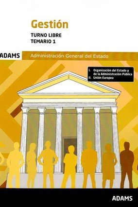 GESTION ( TURNO LIBRE) - TEMARIO 1 | portada del libro