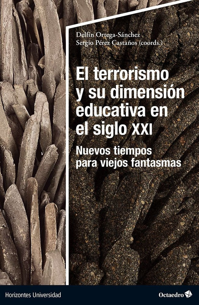 EL TERRORISMO Y SU DIMENSION EDUCATIVA EN EL SIGLO XXI | portada del libro