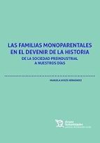 LAS FAMILIAS MONOPARENTALES EN EL DEVENIR DE LA HISTORIA, de MANUELA AVILES HERNANDEZ | portada del libro