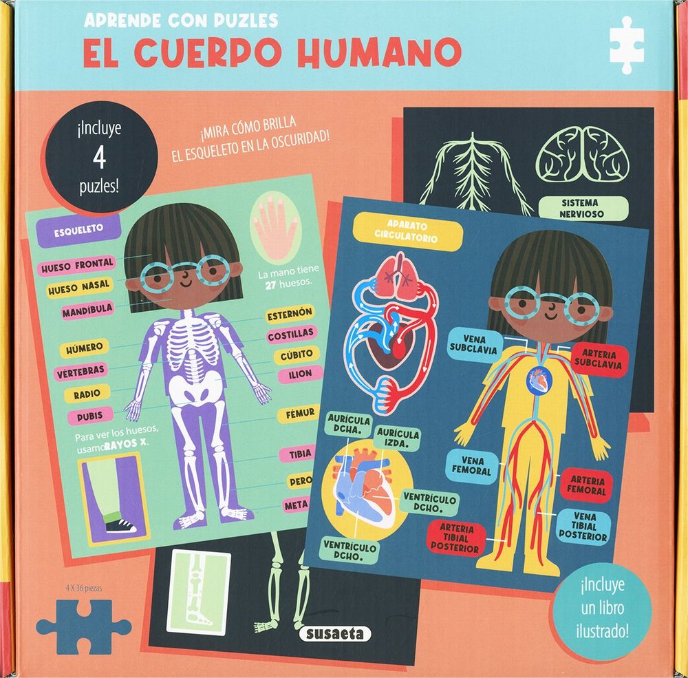 EL CUERPO HUMANO, de SUSAETA EDICIONES, | portada del libro