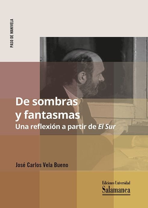 DE SOMBRAS Y FANTASMAS. UNA REFLEXION A PARTIR DE EL SUR, de VELA | portada del libro