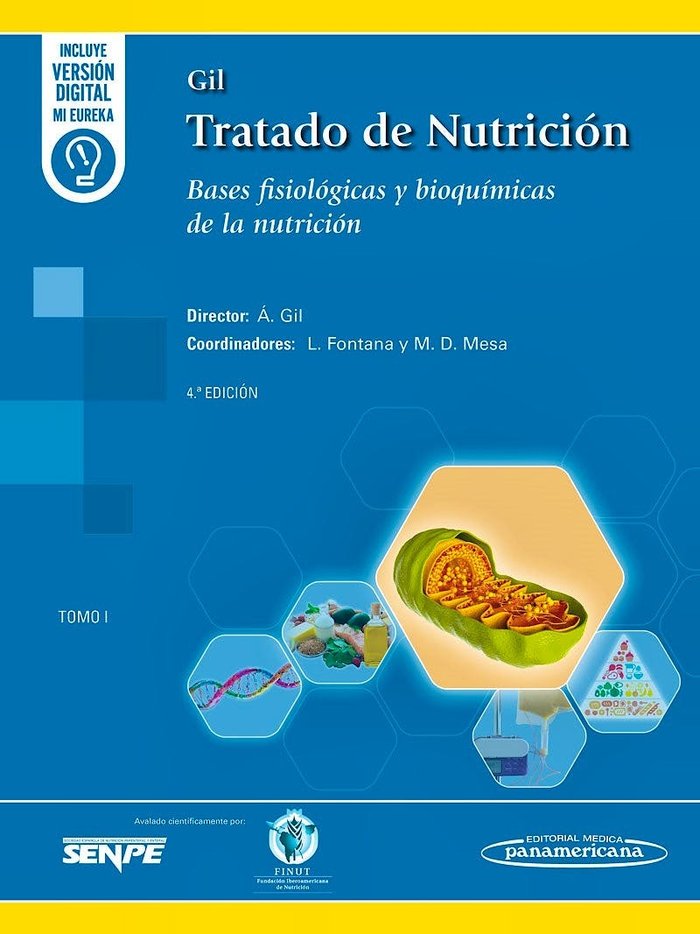 GIL. TRATADO DE NUTRICION. TOMO 1 BASES FISIOLOGICAS Y BIOQUIMICA, de GIL HERNANDEZ, ANGEL | portada del libro