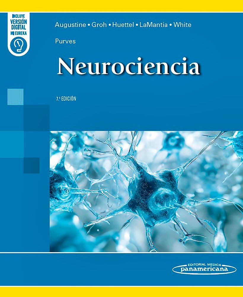 PURVES. NEUROCIENCIA (7ª ED.) -DUO-, de GEORGE J. AUGUSTINE, JENNIFER M. GROH, SCOTT A. HUETTEL, ANTHONY-SAMUEL LAMANTIA, LEO
