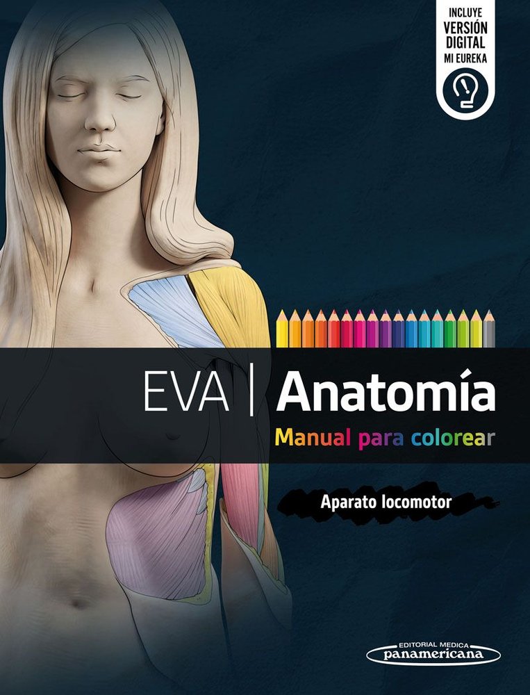 EVA ANATOMIA MANUAL PARA COLOREAR, de EVA | portada del libro