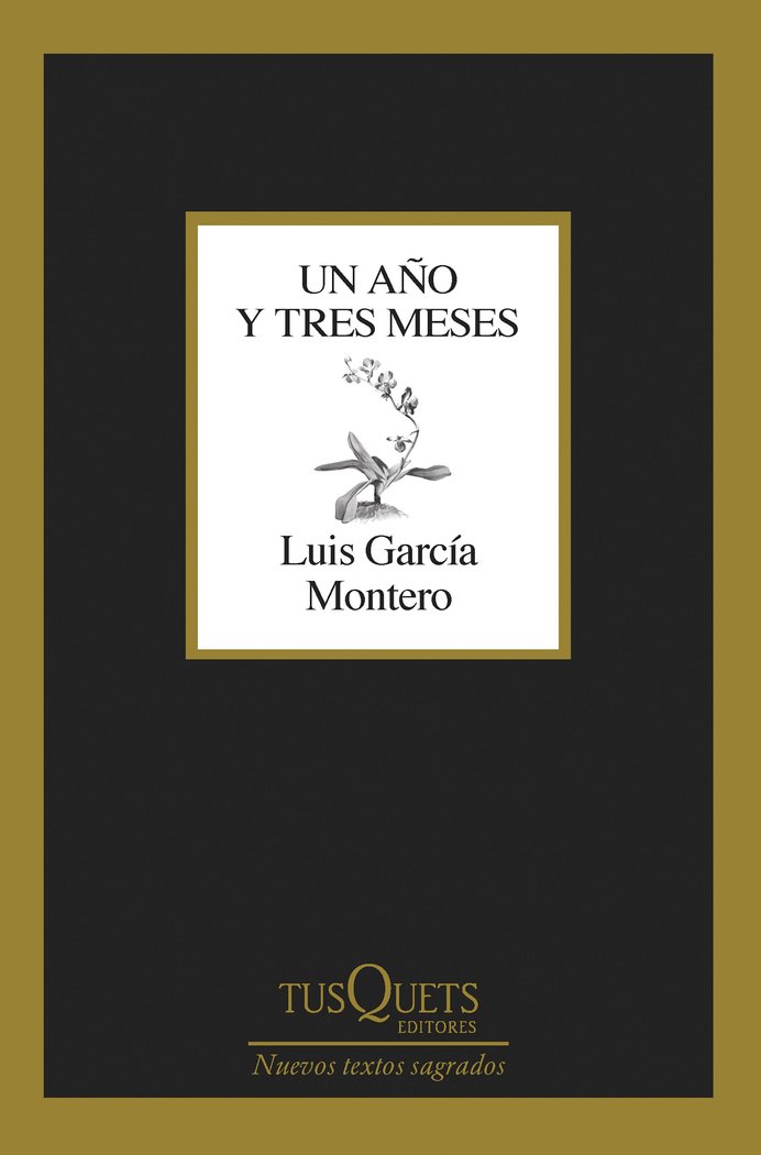 Un año y tres meses, de LUIS GARCIA MONTERO | portada del libro