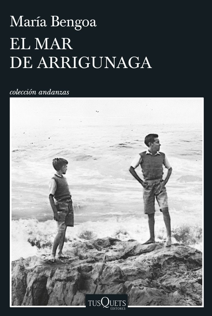 EL ESCRITOR, de MARIA BENGOA | portada del libro