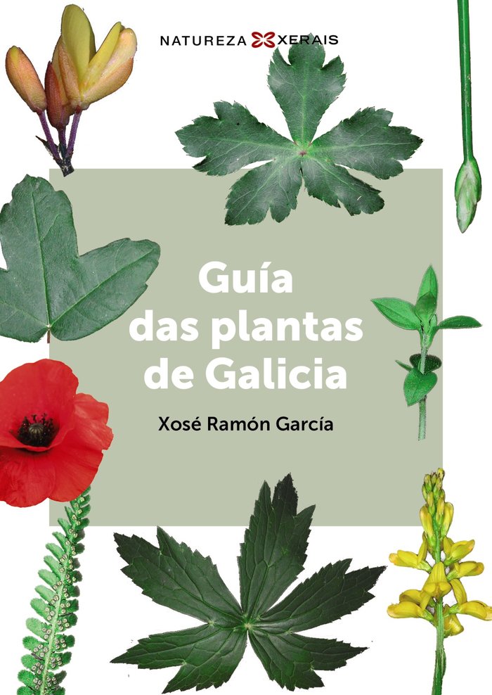 GUIA DAS PLANTAS DE GALICIA, de GARCIA, XOSE RAMON | portada del libro