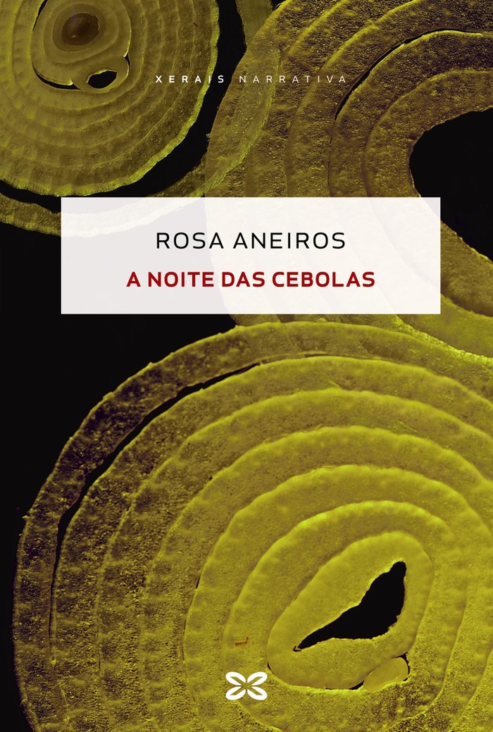 A noite das cebolas, de ANEIROS, ROSA | portada del libro