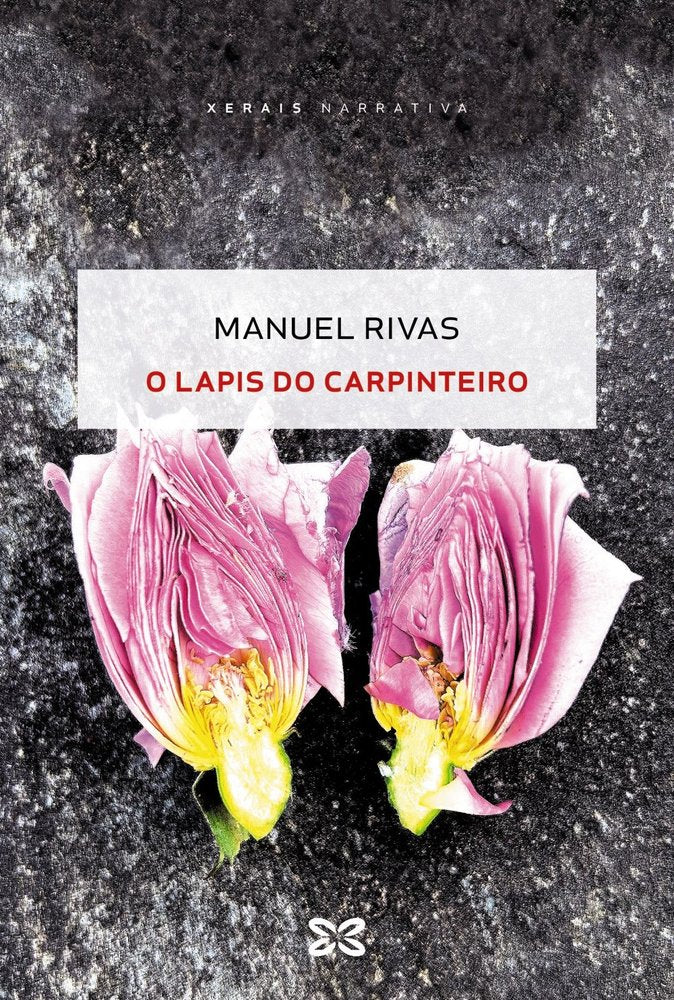 O lapis do carpinteiro, de RIVAS, MANUEL | portada del libro