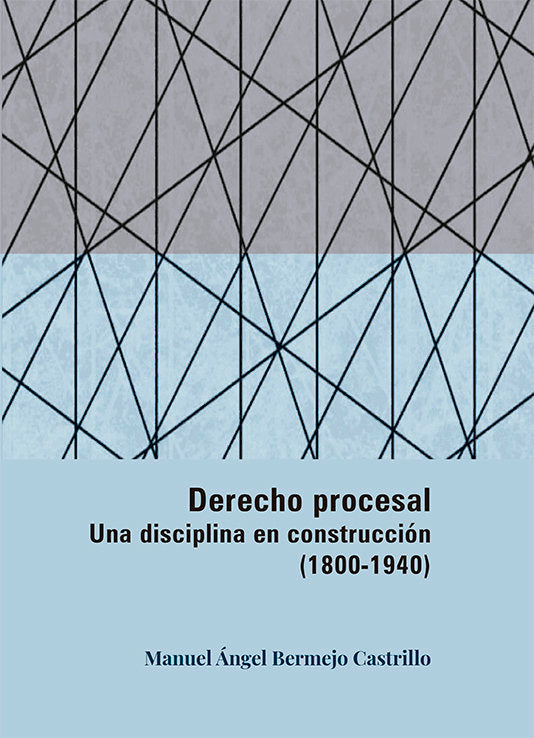 DERECHO PROCESAL UNA DISCIPLINA EN CONSTRUCCION (1800-1940), de BERMEJO CASTRILLO, MANUEL ANGEL | portada del libro