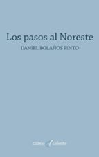 Los pasos al Noreste, de DANIEL BOLAÑOS PINTO | portada del libro