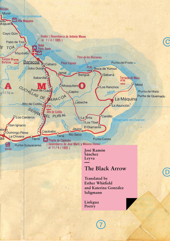 The Black Arrow, de Sánchez Leyva, José Ramón | portada del libro
