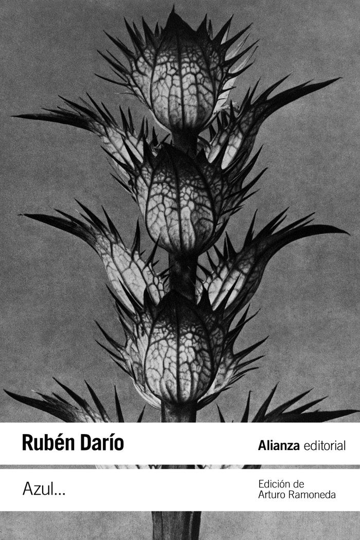 Azul..., de DARIO, RUBEN | portada del libro