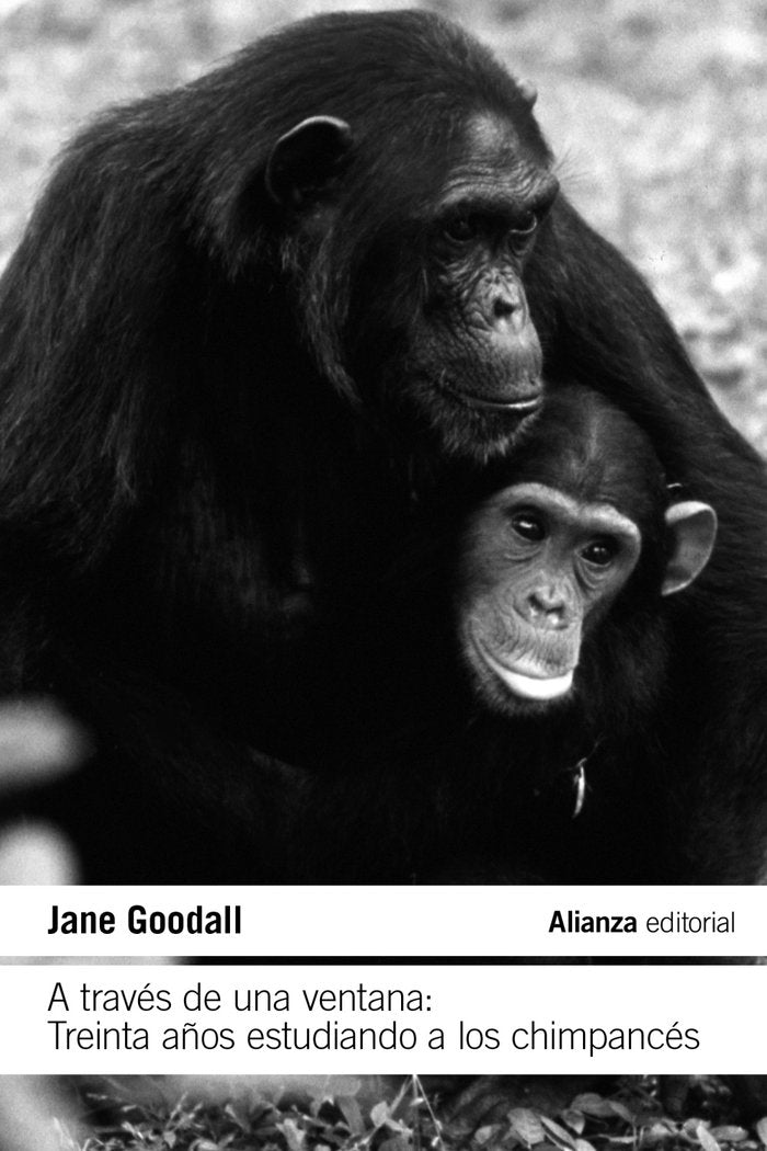 A TRAVES DE UNA VENTANA TREINTA AÑOS ESTUDIANDO A LOS CHIMP, de GOODALL, JANE | portada del libro