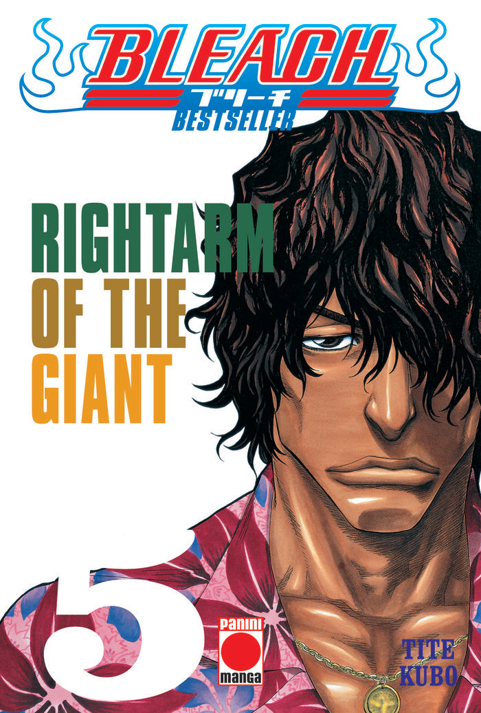Bleach (bestseller) n.5 | portada del libro