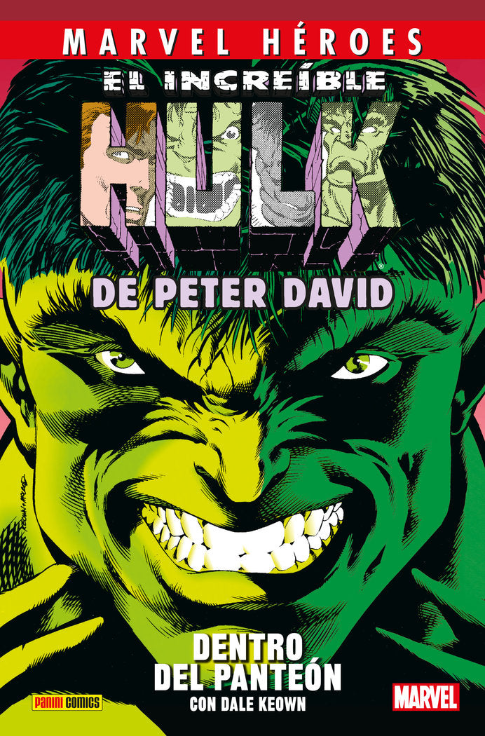 EL INCREIBLE HULK DE PETER DAVID 3 DENTRO DEL PANTEON, de JOHN ROMITA SR | portada del libro