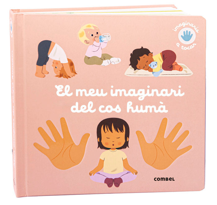 EL MEU IMAGINARI DEL COS HUMA, de RAGONDET, NATHAIE | portada del libro