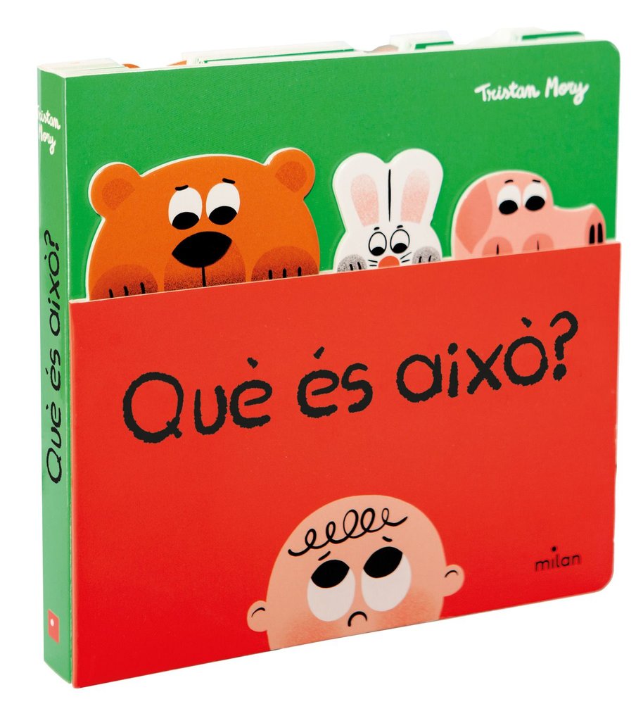 QUE ES AIXO | portada del libro