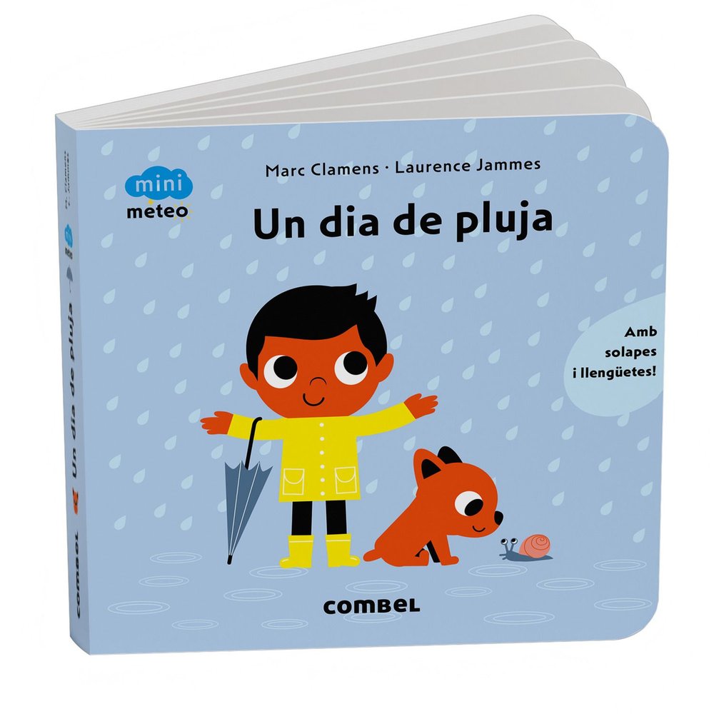 UN DIA DE PLUJA | portada del libro