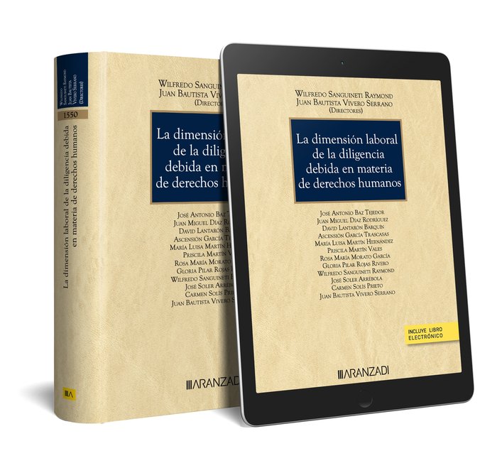 DIMENSION LABORAL DE LA DILIGENCIA DEBIDA EN MATERIA DE DERECHOS HUMAN, de WILFREDO SANGUINETI RAYMOD | portada del libro