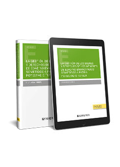 LA GESTION DE LOS BIENES Y DERECHOS DE LOS MENORES DE EDAD N, de PILAR MESA TORRES | portada del libro