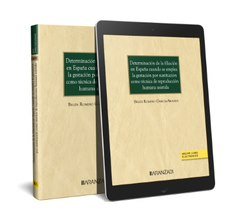 DETERMINACION DE LA FILIACION EN ESPAÑA CUANDO SE EMPLEA LA, de BELEN ROMERO GARCIA ARANDA | portada del libro
