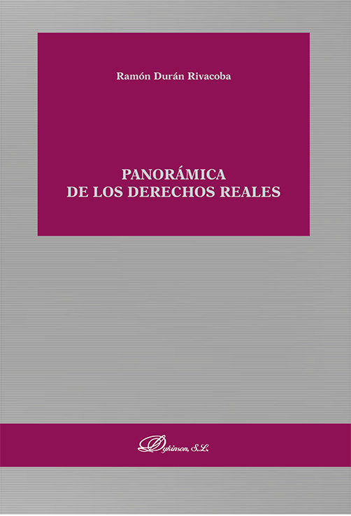 PANORAMICA DE LOS DERECHOS REALES, de DURAN RIVACOBA, RAMON | portada del libro