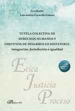 TUTELA COLECTIVA DE DERECHOS HUMANOS Y OBJETIVOS DE DESARROL | portada del libro