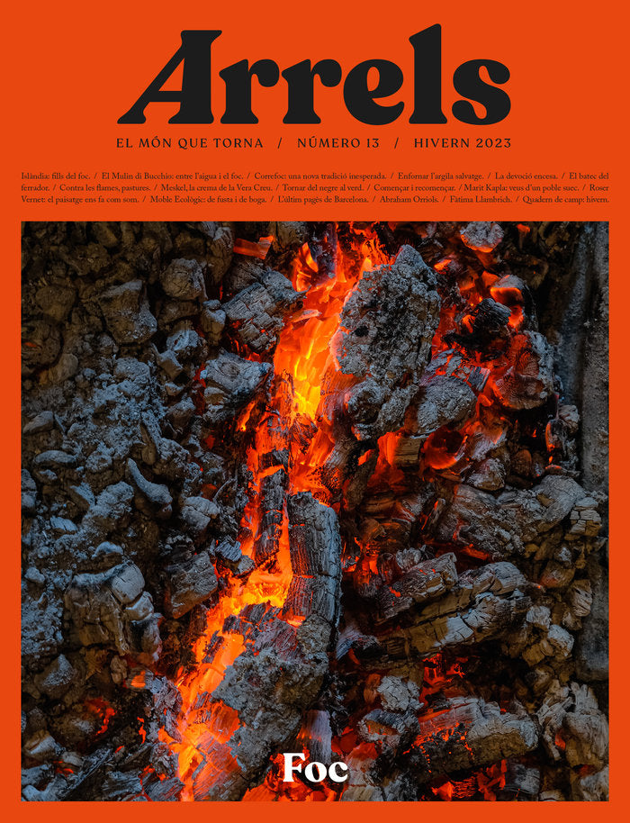 ARRELS  13, de SUCARRATS I MIRO, JOSEP | portada del libro
