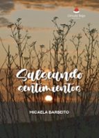 Salseando sentimientos, de MICAELA BARBEITO | portada del libro