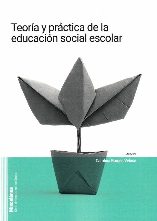TEORIA Y PRACTICA DE LA EDUCACION SOCIAL | portada del libro