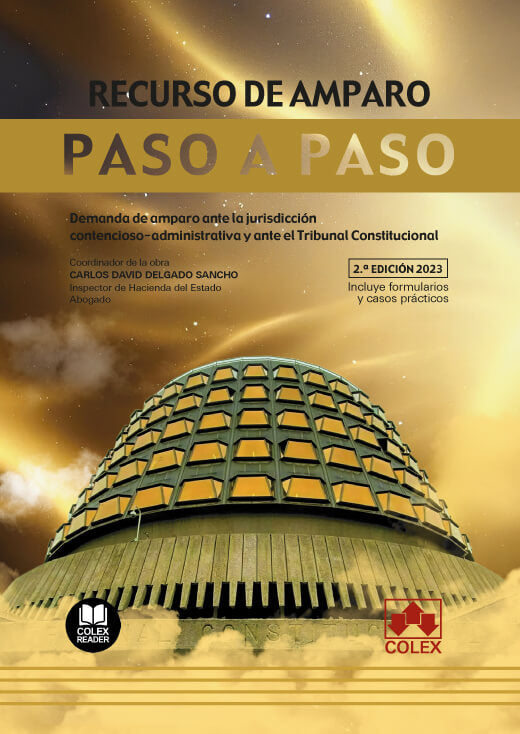 RECURSO DE AMPARO. PASO A PASO 2023., de DELGADO SANCHO | portada del libro