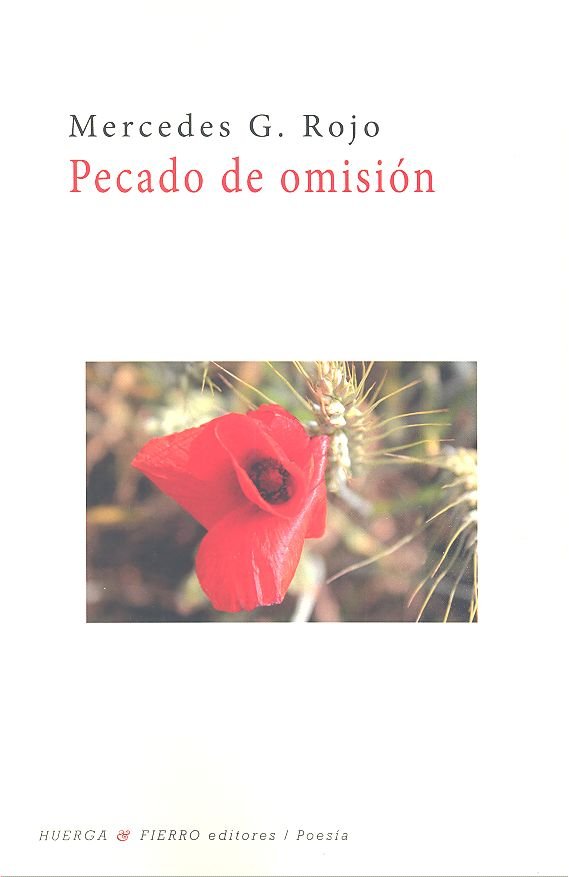Pecado de omisión, de González Rojo, Mercedes | portada del libro
