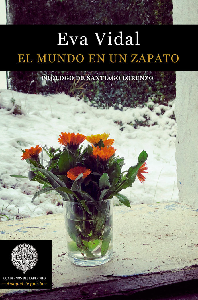 El mundo en un zapato, de Vidal Álvarez, Eva | portada del libro