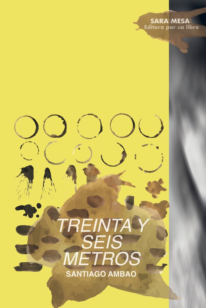 Treinta y seis metros, de Santiago Ambao | portada del libro