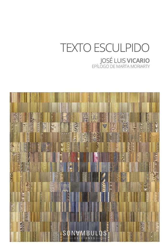 TEXTO ESCULPIDO, de VICARIO MERINO, JOSE LUIS | portada del libro