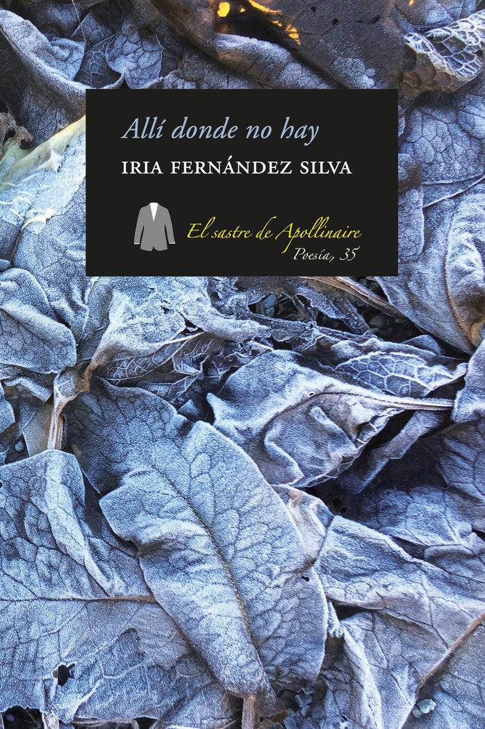 ALLÍ DONDE NO HAY, de FERNÁNDEZ SILVA, IRIA | portada del libro