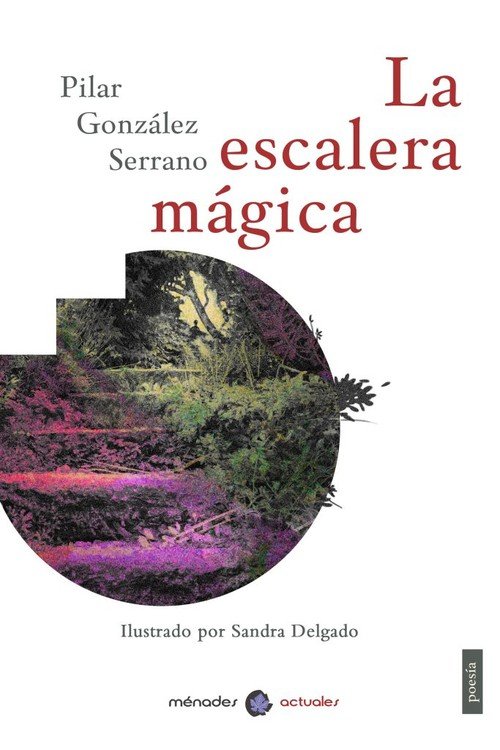 La escalera mágica, de González Serrano, Pilar | portada del libro