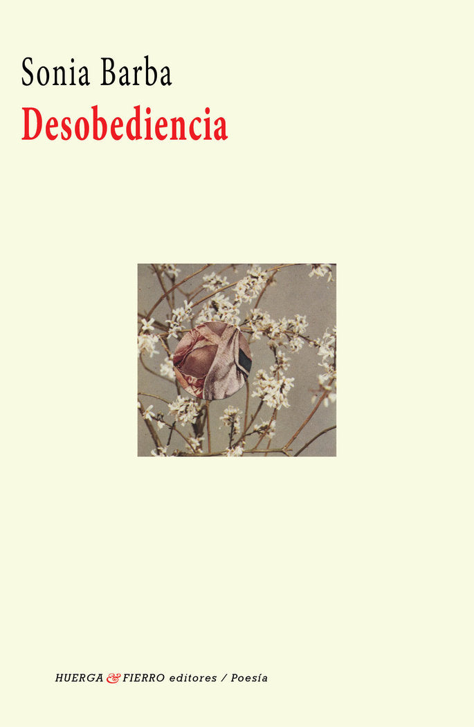 Desobediencia, de Barba Calleja, Sonia | portada del libro