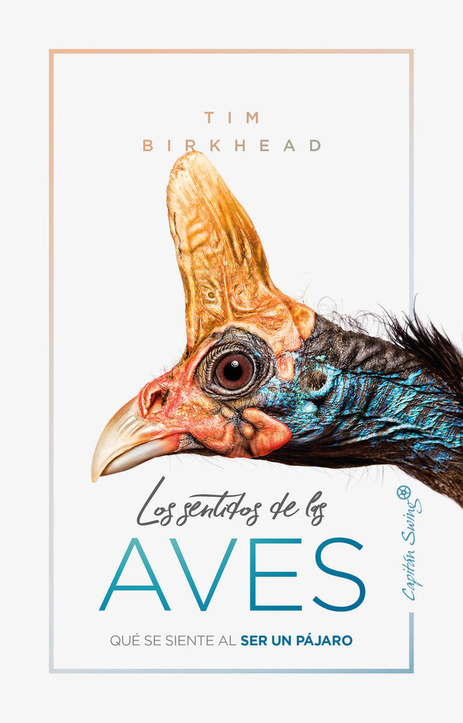 Los sentidos de las aves, de Birkhead, Tim | portada del libro