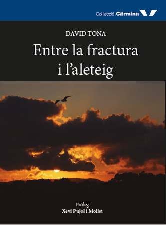 Entre la fractura i l'aleteig, de Tona Mora, David | portada del libro