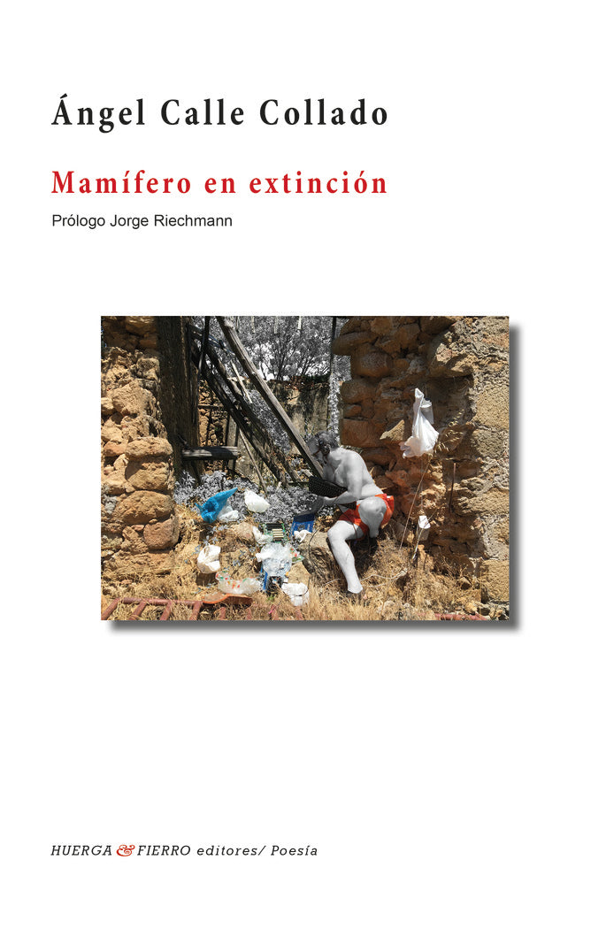 Mamífero en extinción, de Calle Collado, Ángel | portada del libro